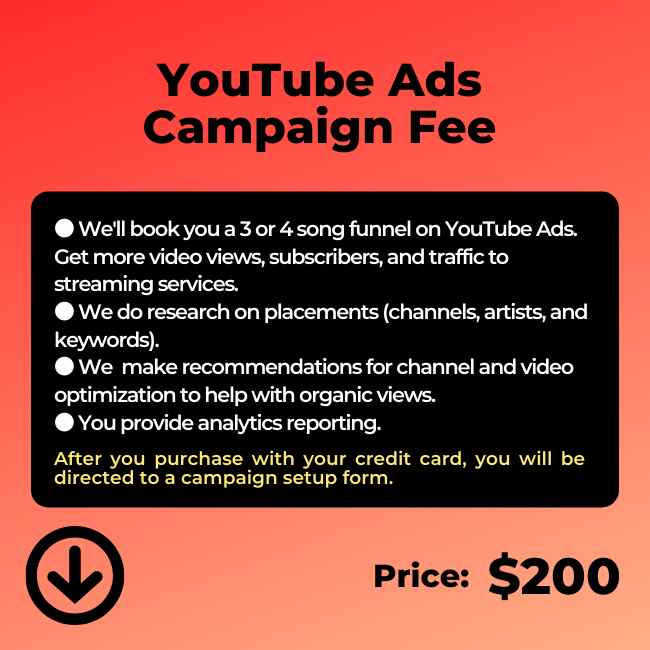 music promotion services youtube ads campaign fee Google Ads for music videos